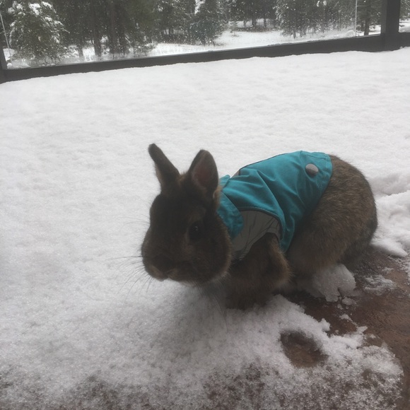 Meet your Posher, Berkeley - Picture 1 of 1